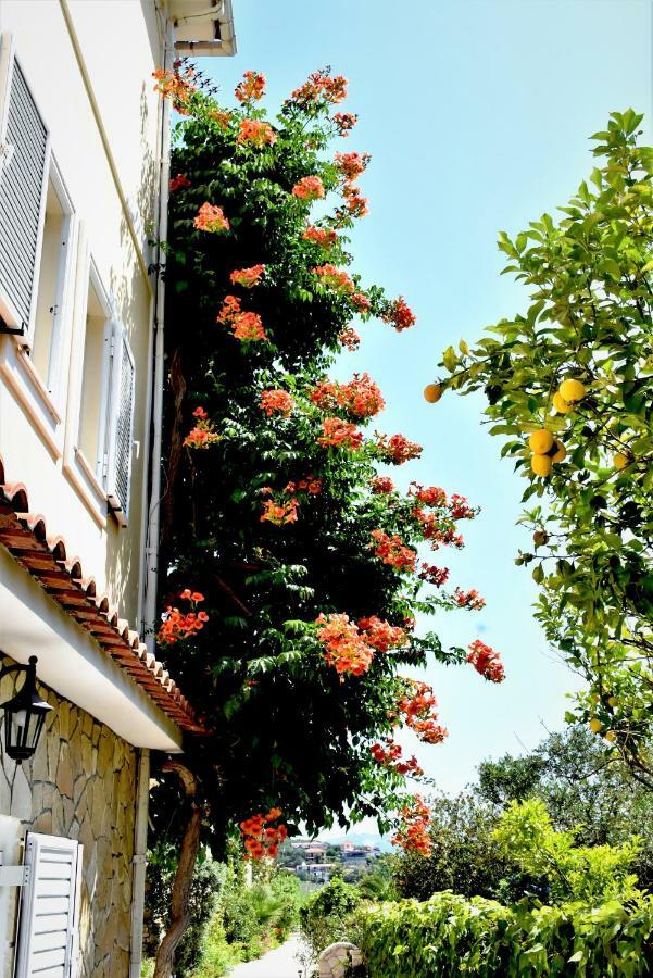 Villa Dionysios Keri Ngoại thất bức ảnh